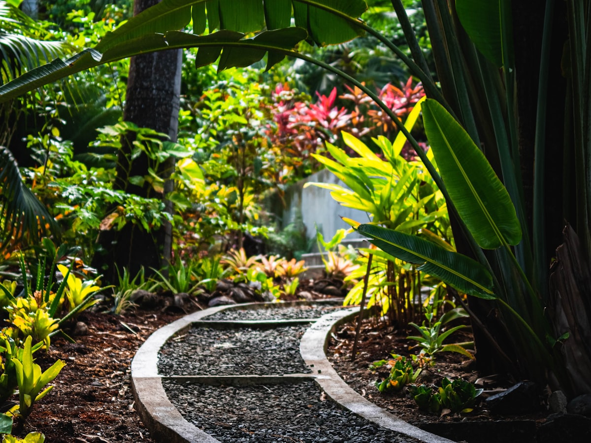 Landscaped greenery (illustrative)